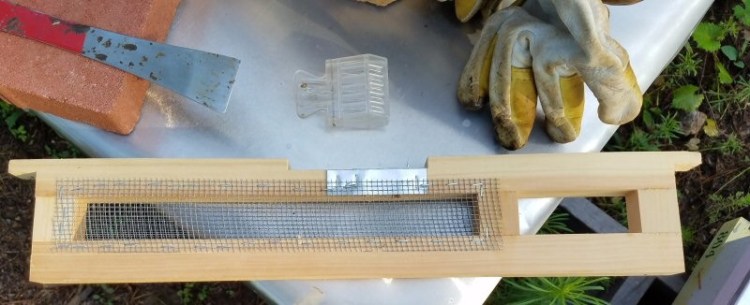 Queen Introduction Frame