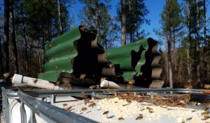 Feeding pollen and sugar to bees