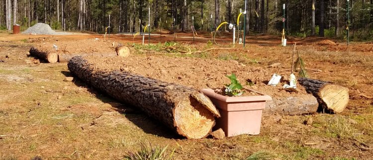 Temporary raised beds