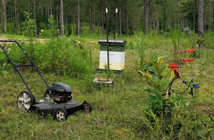 English Hive - June 2018