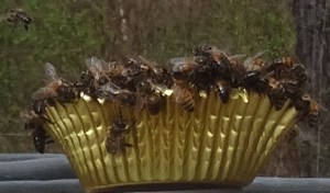 Bees on Fondant