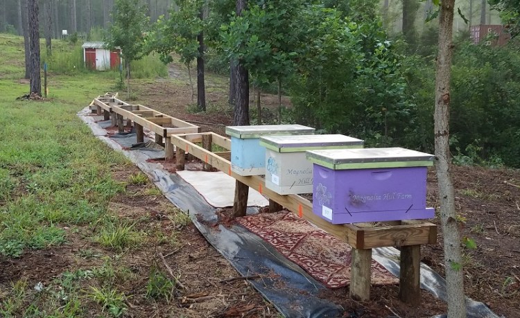 2019-07 New Hive Stands