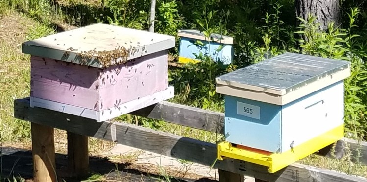 20200509_swarm capture